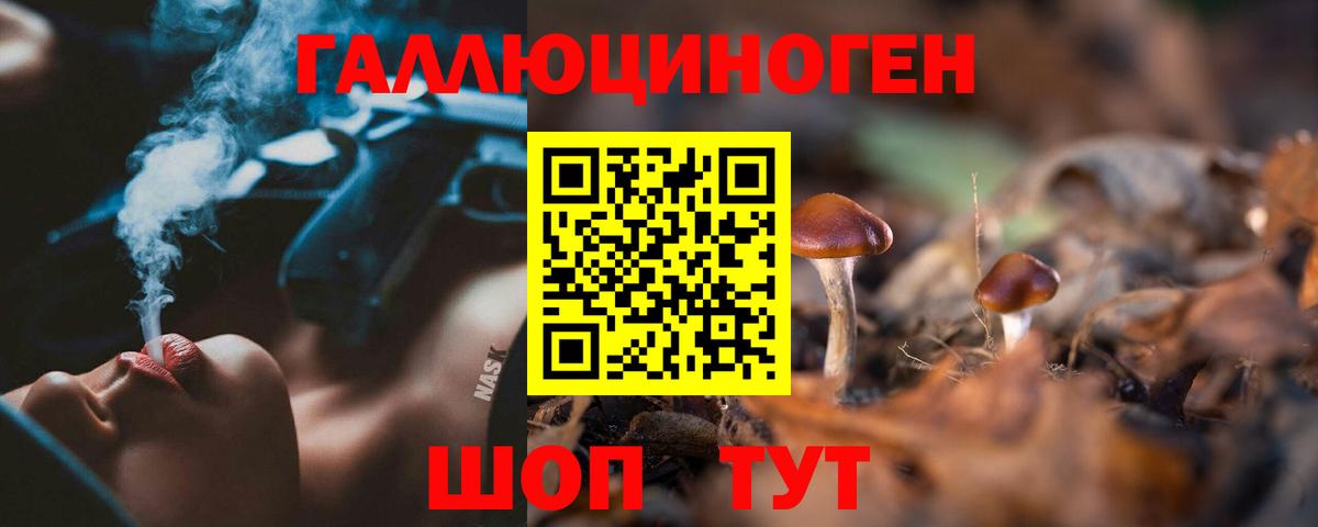 Галлюциногенные грибы прущие грибы Чебоксары