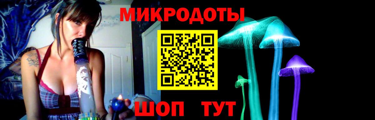 Псилоцибиновые грибы MAGIC MUSHROOMS  закладки  Галлюциногенные грибы мухоморы  Чебоксары  Вход с VPN 